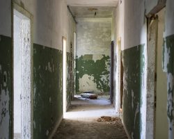 How to Clean Mold – Everything You Need To Know About Cleaning Mold