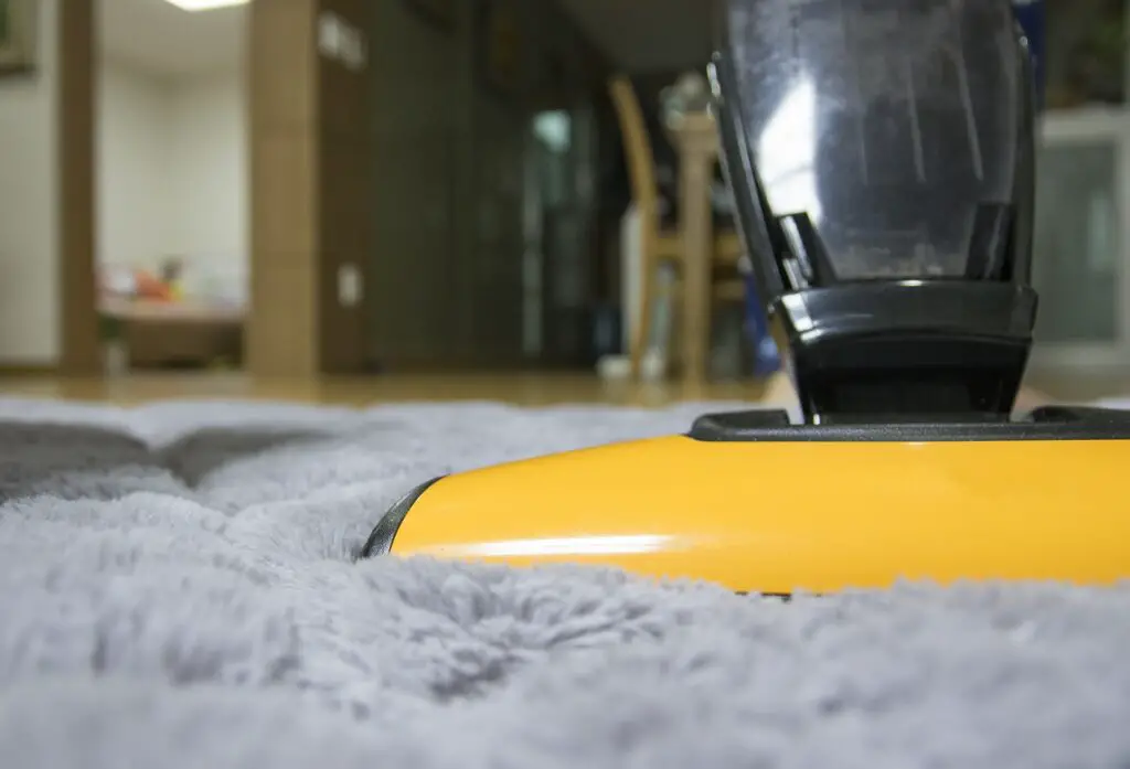 How to clean carpet