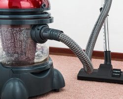 How Often Should I Clean My Carpet?