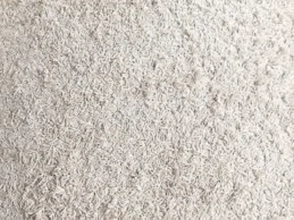 How to Clean Carpets After Bed Bugs: A Step-By-Step Guide