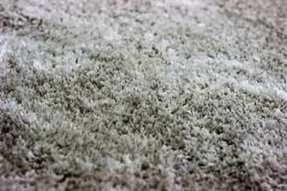 how to clean carpets fast